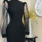 MESH LONG SLEEVE DRESS